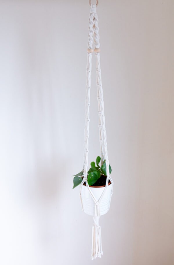 Suporte de Planta