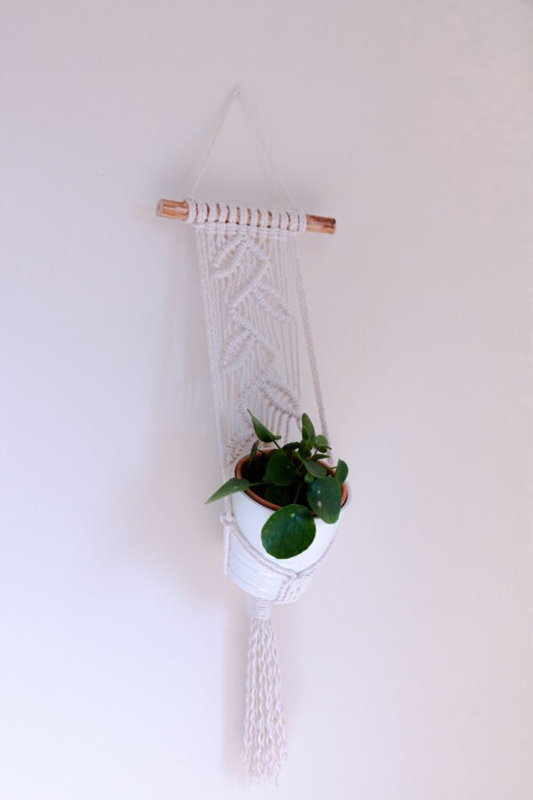 Suporte de Planta de Parede - Image 2
